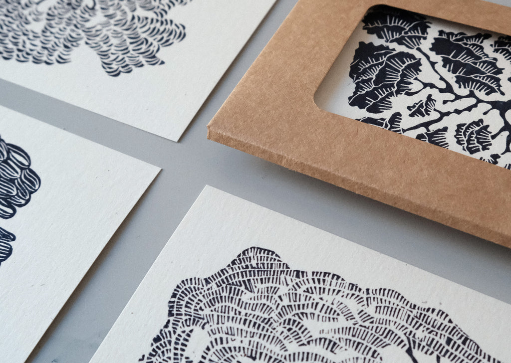 Illustrated Card Set