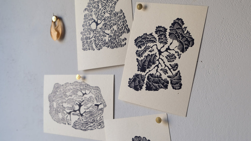 Illustrated Card Set