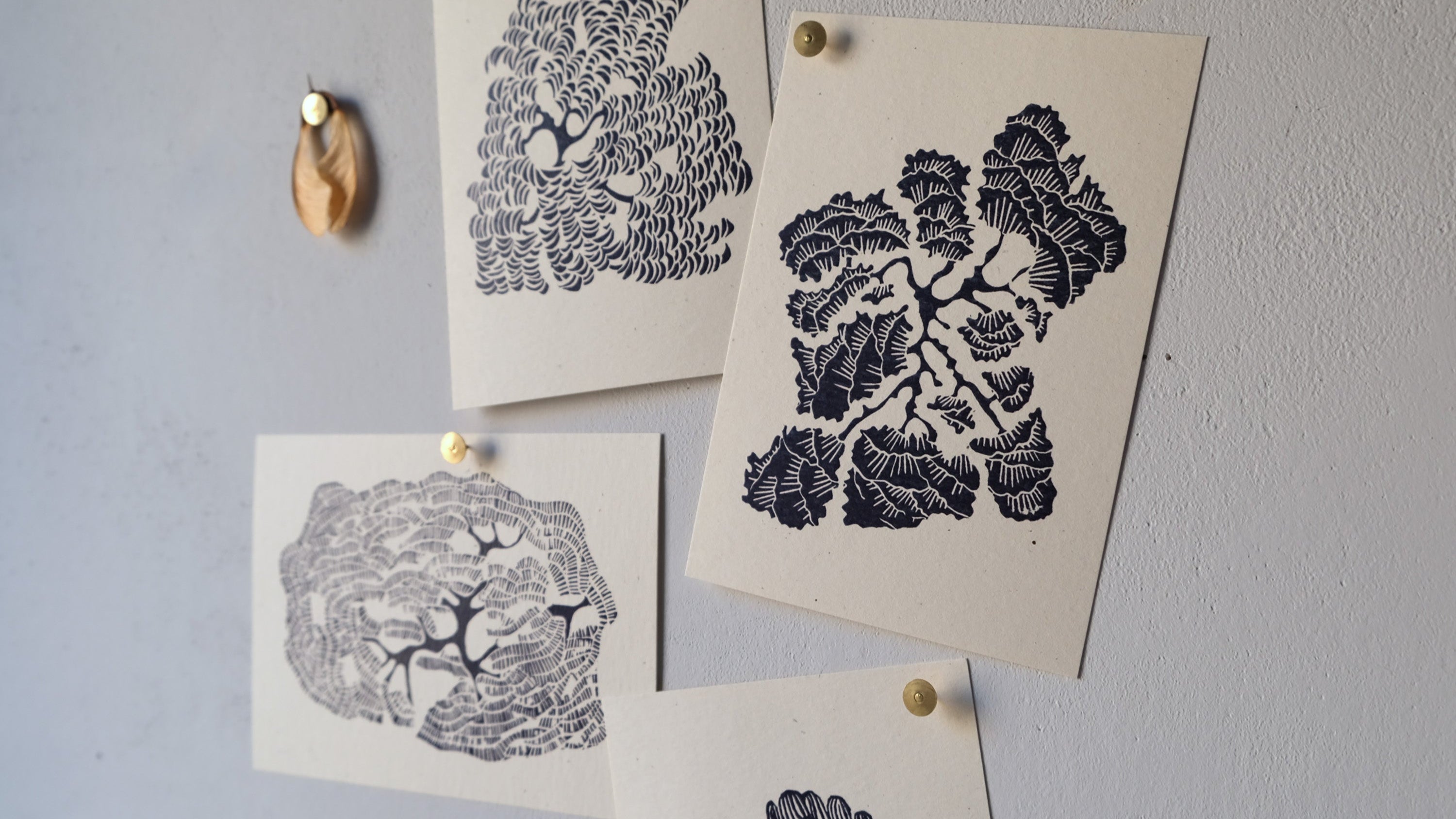 Illustrated Card Set