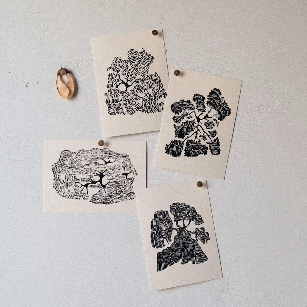 Illustrated Card Set