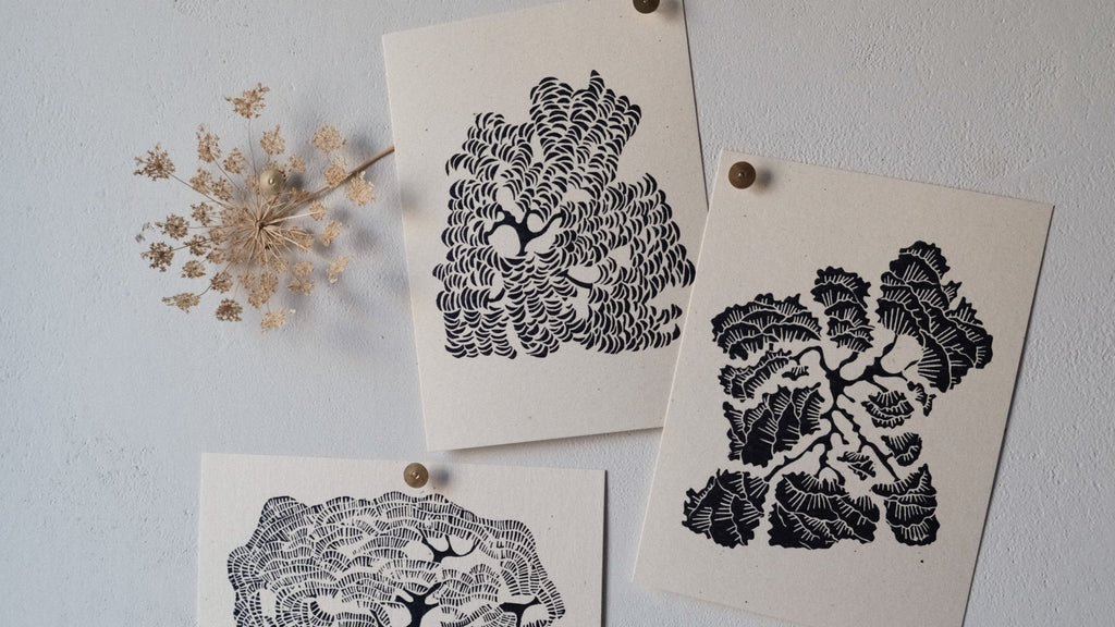 Illustrated Card Set