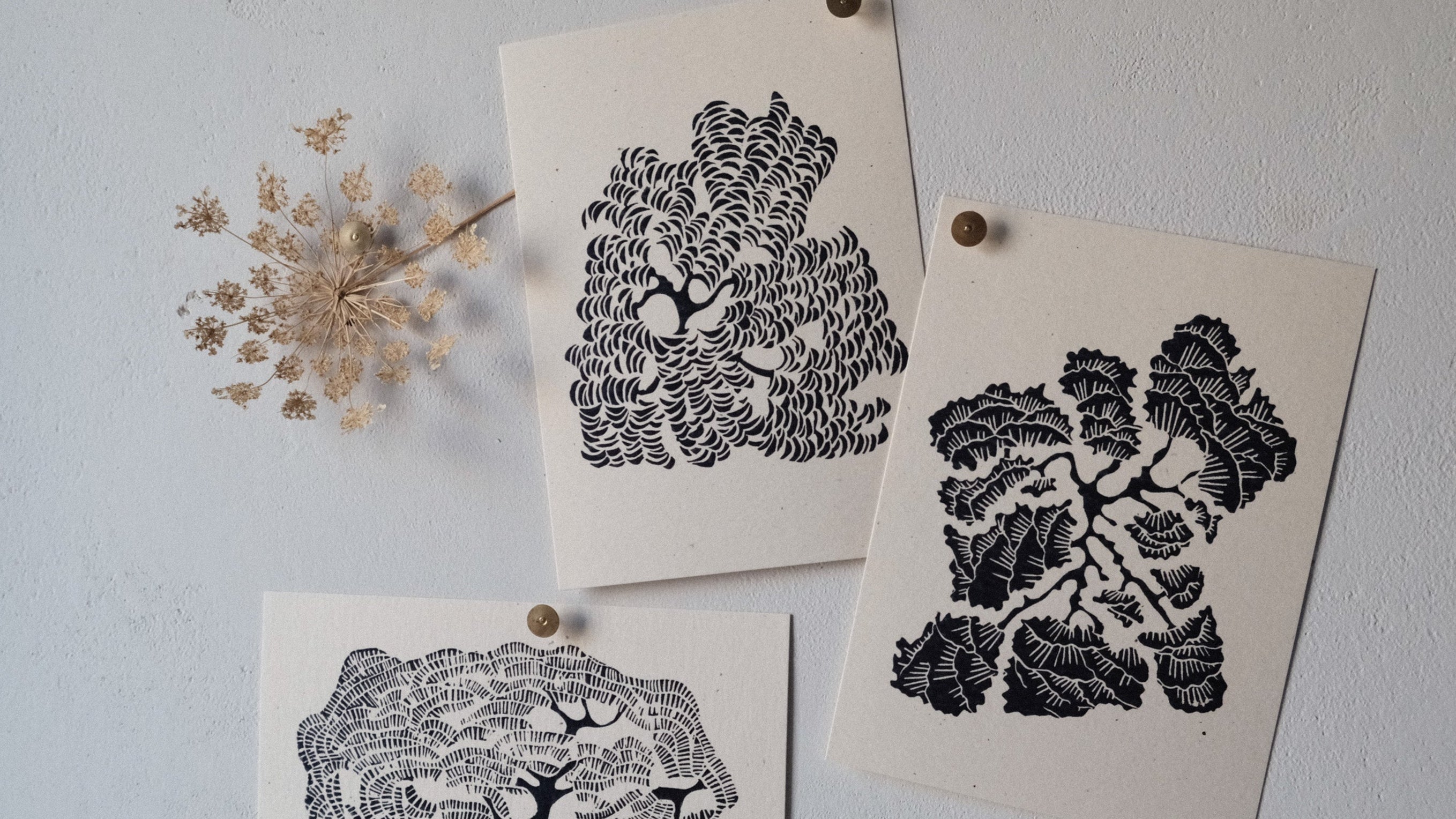 Illustrated Card Set