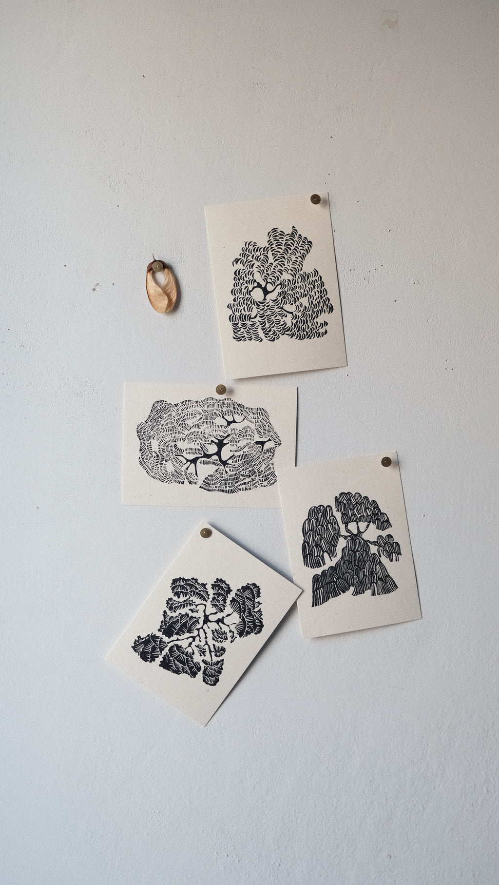 Illustrated Card Set